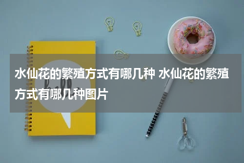 水仙花的繁殖方式有哪几种 水仙花的繁殖方式有哪几种图片