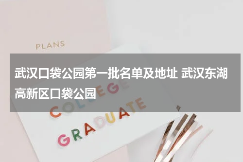 武汉口袋公园第一批名单及地址 武汉东湖高新区口袋公园