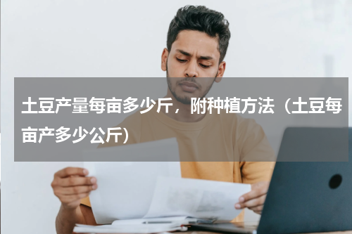 土豆产量每亩多少斤，附种植方法（土豆每亩产多少公斤）