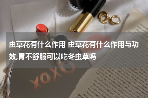 虫草花有什么作用 虫草花有什么作用与功效,胃不舒服可以吃冬虫草吗