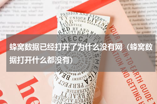 蜂窝数据已经打开了为什么没有网（蜂窝数据打开什么都没有）