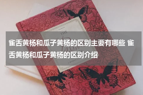 雀舌黄杨和瓜子黄杨的区别主要有哪些 雀舌黄杨和瓜子黄杨的区别介绍