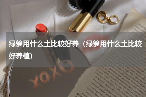 绿箩用什么土比较好养（绿箩用什么土比较好养植）