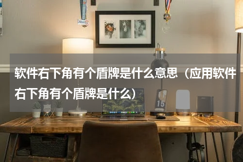 软件右下角有个盾牌是什么意思（应用软件右下角有个盾牌是什么）