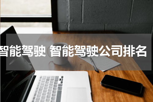 智能驾驶 智能驾驶公司排名