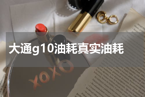 大通g10油耗真实油耗