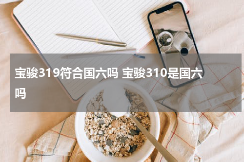 宝骏319符合国六吗 宝骏310是国六吗