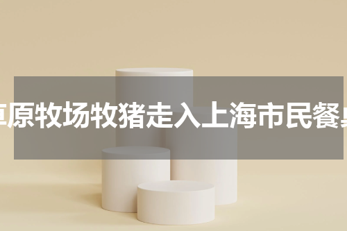 草原牧场牧猪走入上海市民餐桌