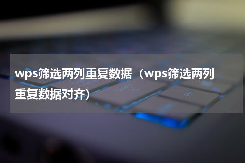 wps筛选两列重复数据（wps筛选两列重复数据对齐）