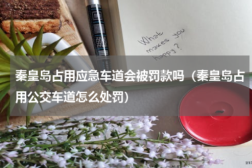 秦皇岛占用应急车道会被罚款吗（秦皇岛占用公交车道怎么处罚）