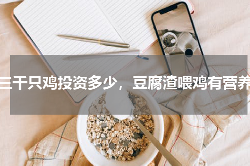 养三千只鸡投资多少，豆腐渣喂鸡有营养吗