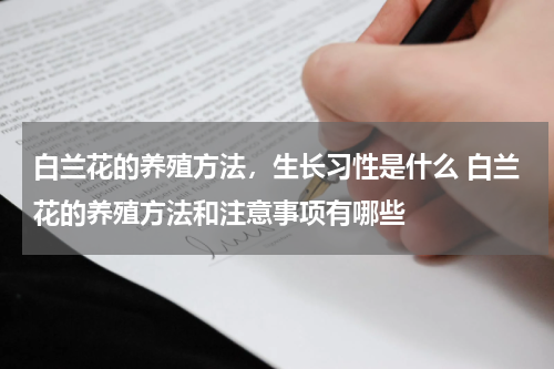 白兰花的养殖方法，生长习性是什么 白兰花的养殖方法和注意事项有哪些