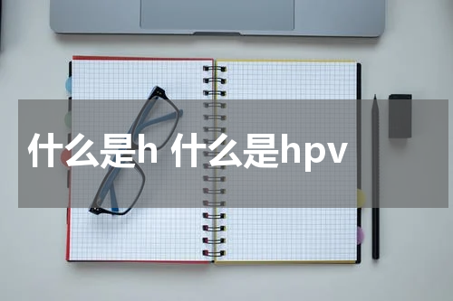 什么是h 什么是hpv