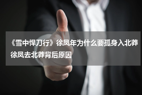 《雪中悍刀行》徐凤年为什么要孤身入北莽 徐凤去北莽背后原因