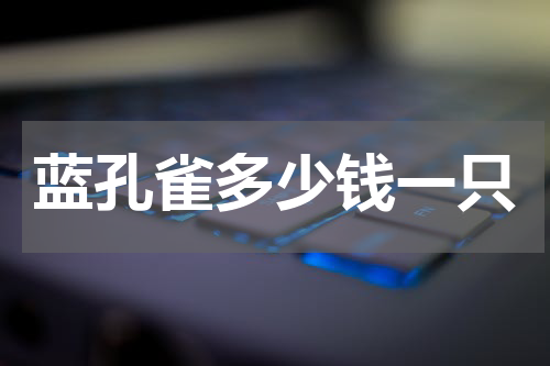 蓝孔雀多少钱一只