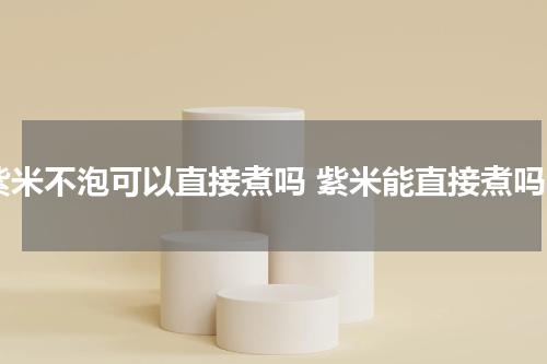 紫米不泡可以直接煮吗 紫米能直接煮吗