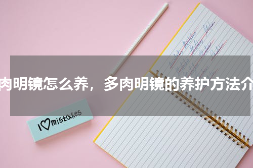 多肉明镜怎么养，多肉明镜的养护方法介绍
