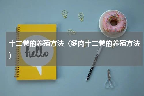 十二卷的养殖方法（多肉十二卷的养殖方法）