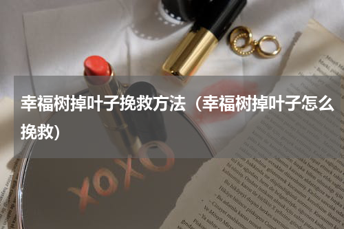 幸福树掉叶子挽救方法（幸福树掉叶子怎么挽救）