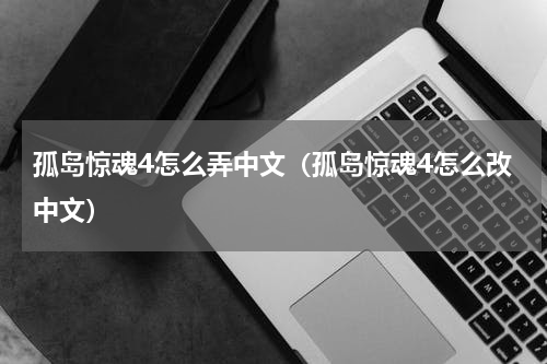 孤岛惊魂4怎么弄中文（孤岛惊魂4怎么改中文）