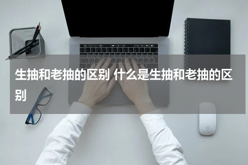 生抽和老抽的区别 什么是生抽和老抽的区别