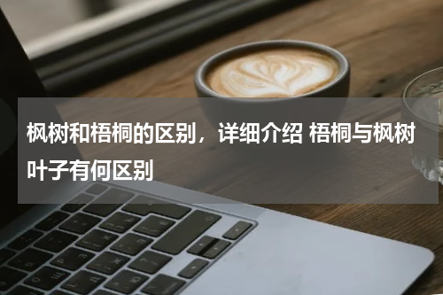 枫树和梧桐的区别，详细介绍 梧桐与枫树叶子有何区别