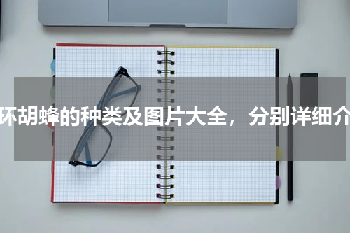 金环胡蜂的种类及图片大全，分别详细介绍