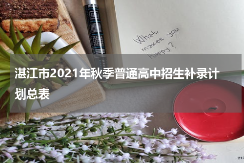 湛江市2021年秋季普通高中招生补录计划总表