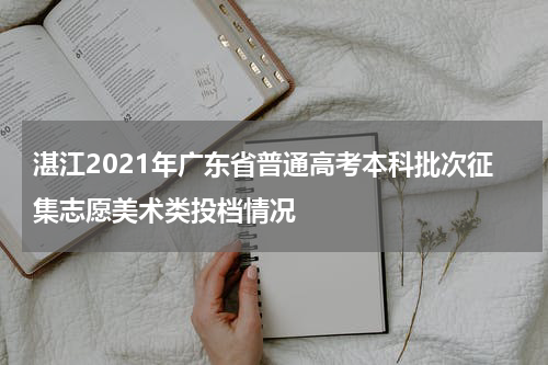 湛江2021年广东省普通高考本科批次征集志愿美术类投档情况