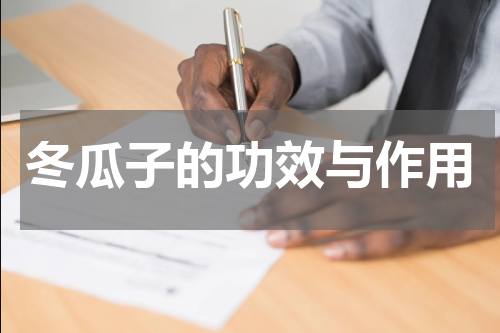 冬瓜子的功效与作用