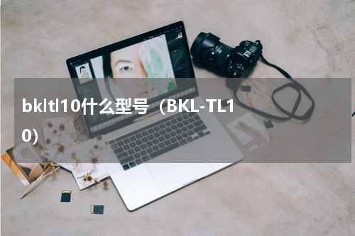 bkltl10什么型号（BKL-TL10）