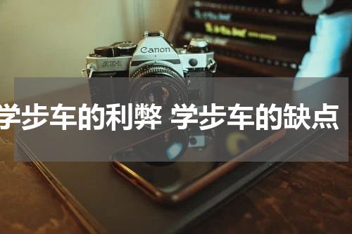 学步车的利弊 学步车的缺点