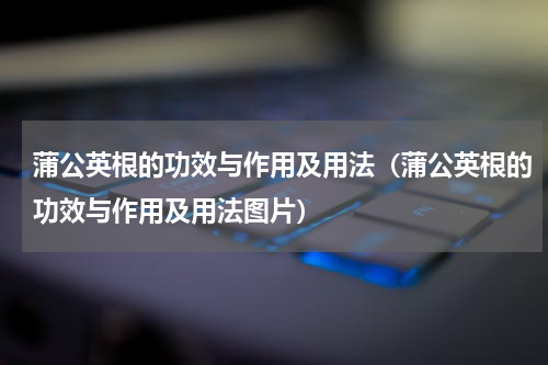 蒲公英根的功效与作用及用法（蒲公英根的功效与作用及用法图片）