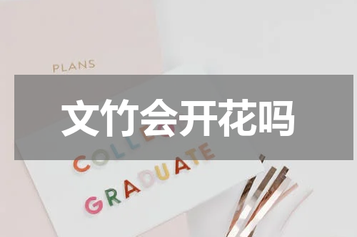 文竹会开花吗