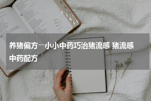 养猪偏方――小小中药巧治猪流感 猪流感中药配方