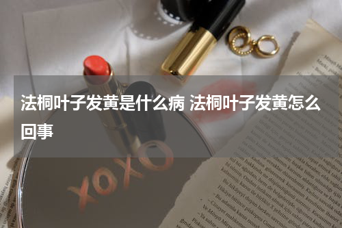 法桐叶子发黄是什么病 法桐叶子发黄怎么回事