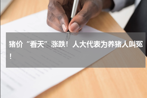 猪价“看天”涨跌！人大代表为养猪人叫冤！