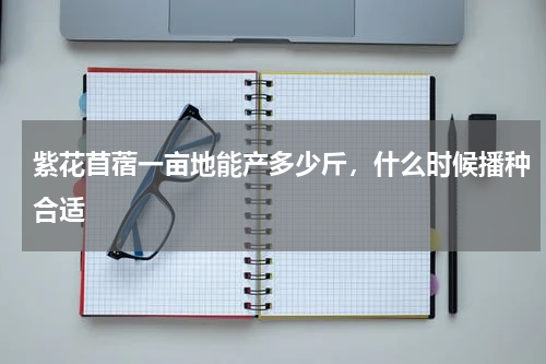 紫花苜蓿一亩地能产多少斤，什么时候播种合适