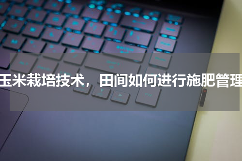 玉米栽培技术，田间如何进行施肥管理