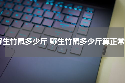 野生竹鼠多少斤 野生竹鼠多少斤算正常