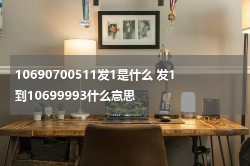 10690700511发1是什么 发1到10699993什么意思