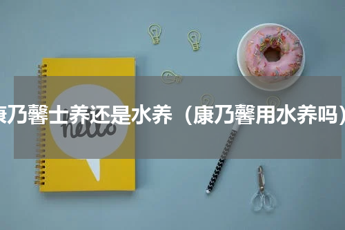 康乃馨士养还是水养（康乃馨用水养吗）