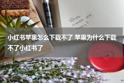 小红书苹果怎么下载不了 苹果为什么下载不了小红书了