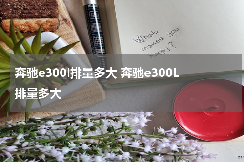 奔驰e300l排量多大 奔驰e300L排量多大