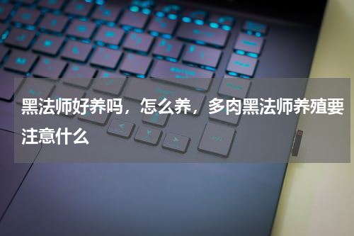 黑法师好养吗，怎么养，多肉黑法师养殖要注意什么