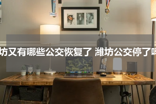 潍坊又有哪些公交恢复了 潍坊公交停了吗