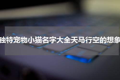 独特宠物小猫名字大全天马行空的想象