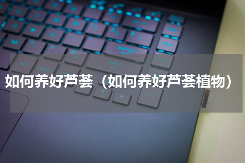 如何养好芦荟（如何养好芦荟植物）