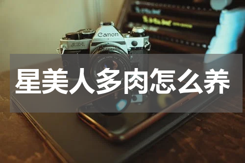 星美人多肉怎么养