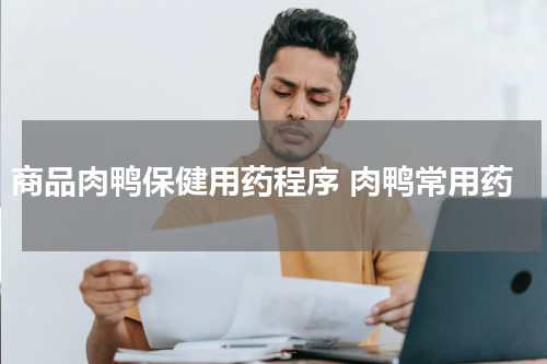 商品肉鸭保健用药程序 肉鸭常用药